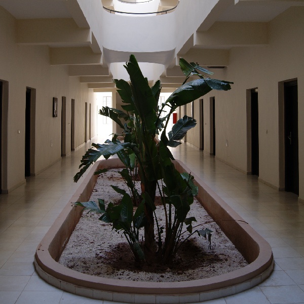 image4